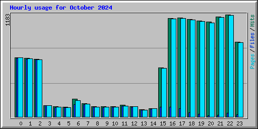Hourly usage for October 2024