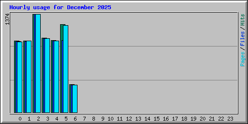 Hourly usage for December 2025