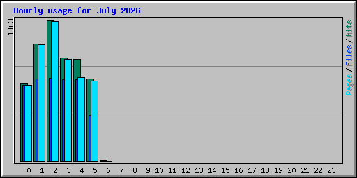 Hourly usage for July 2026